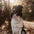 Load image into Gallery viewer, Rannikko Shawl Schal Tuch Halstuch Bandana Strickanleitung Anleitung Stricken Wollpaket nordstrick