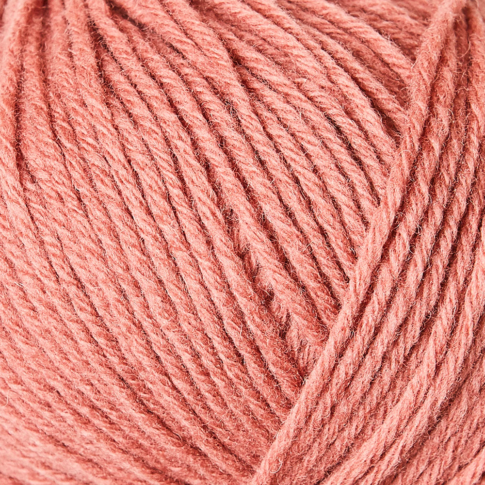 (Terracotta Rose)