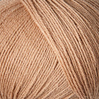 (Camel Rose)