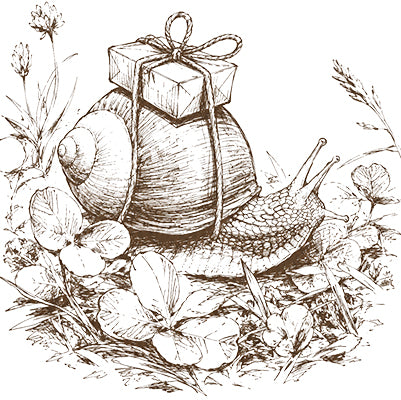 Schnecke Snail Mail Herzenspost nordstrick