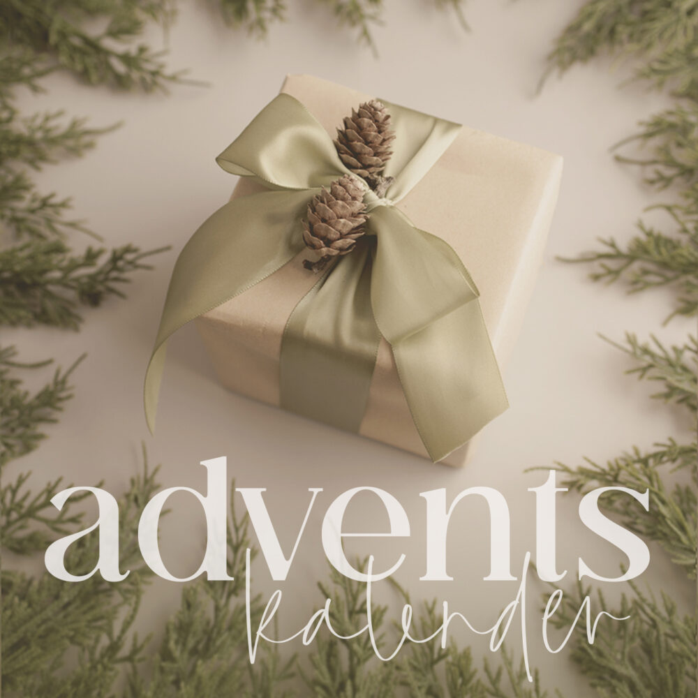 Advenstkalender Accessoire nordstrick