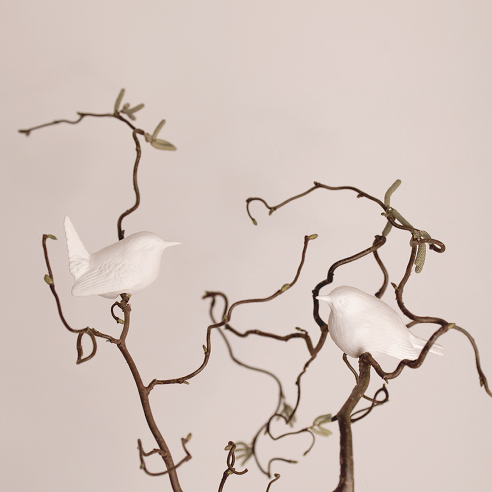 Porzellan Vögel Zaunkönig Rotkehlchen Specht